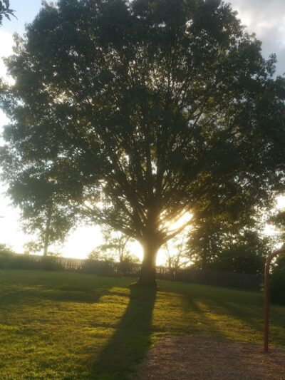 Washington Park - Emerson, NJ