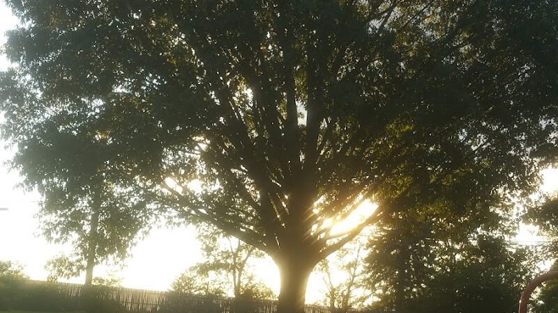 Washington Park - Emerson, NJ