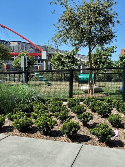 Dog park - Emeryville, CA