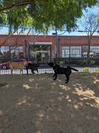 Dog park - Emeryville, CA