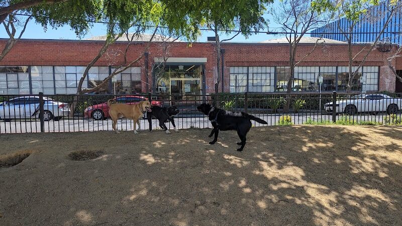 Dog park - Emeryville, CA