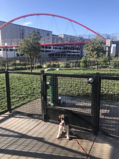 Dog park - Emeryville, CA