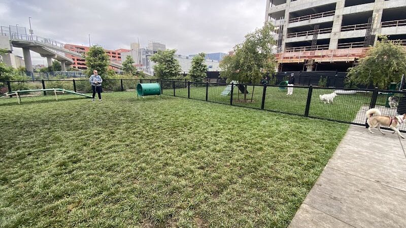Dog park - Emeryville, CA