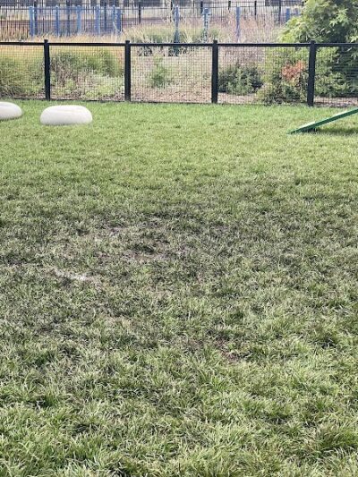 Dog park - Emeryville, CA