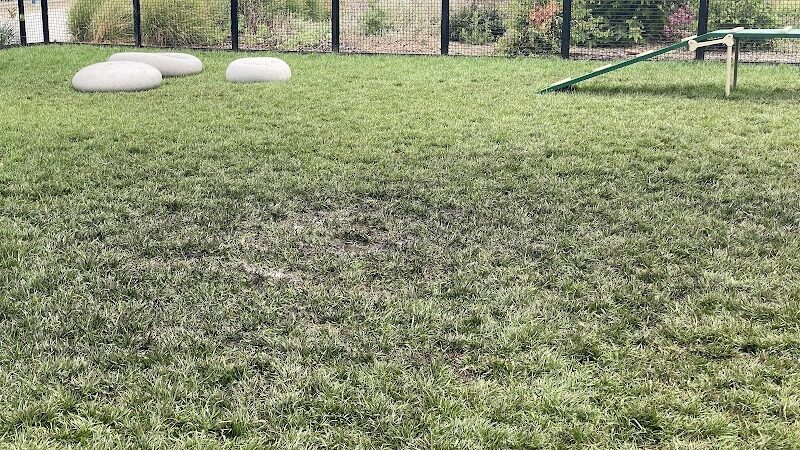 Dog park - Emeryville, CA