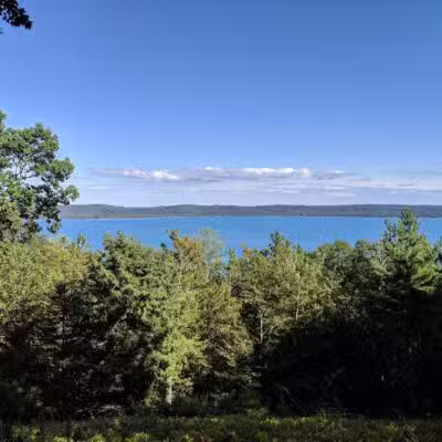 Alligator Hill Trail - Empire,