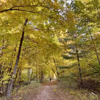 Alligator Hill Trail - Empire,