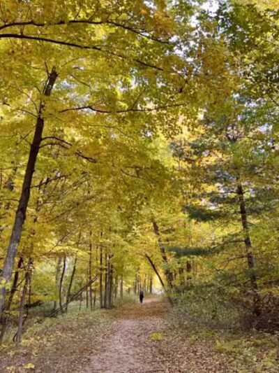 Alligator Hill Trail - Empire,