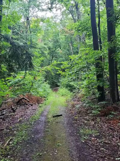 Alligator Hill Trail - Empire,