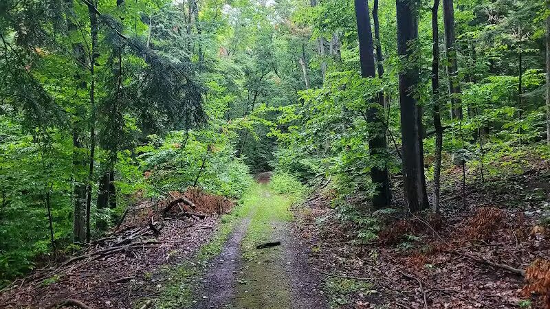 Alligator Hill Trail - Empire,