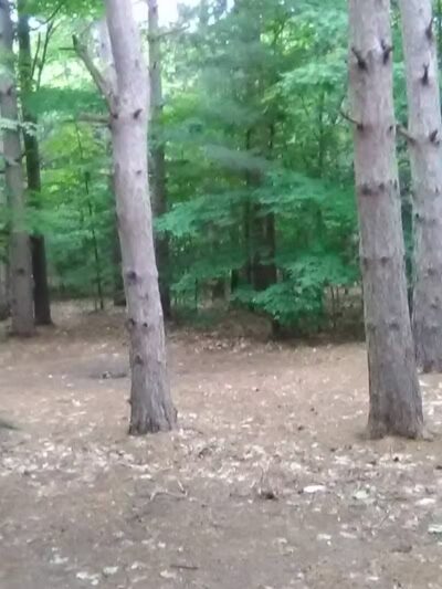 Empire Township Campground - Empire,