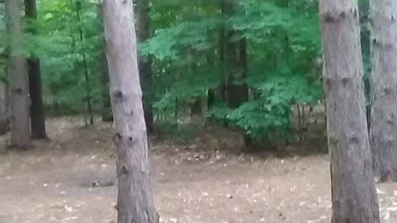 Empire Township Campground - Empire,