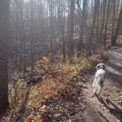 Kettles Trail - Empire,