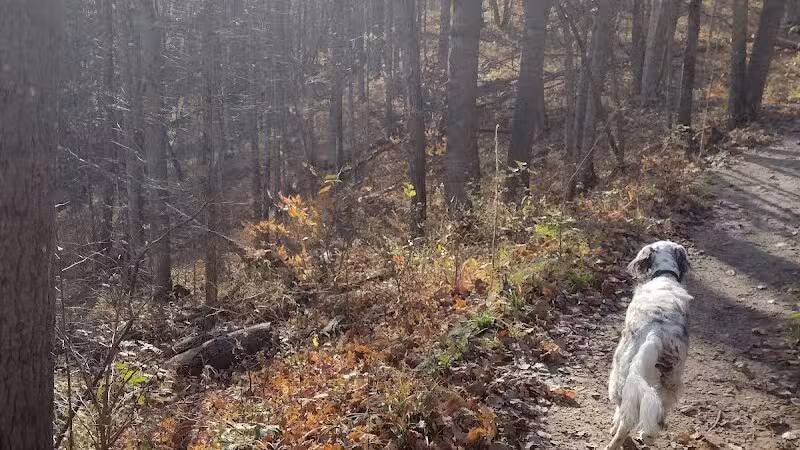 Kettles Trail - Empire,