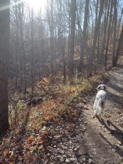 Kettles Trail - Empire,