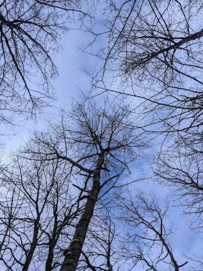 Kettles Trail - Empire,