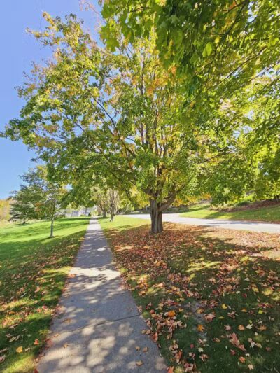 Lake Michigan Beach Park - Village of Empire - Empire,