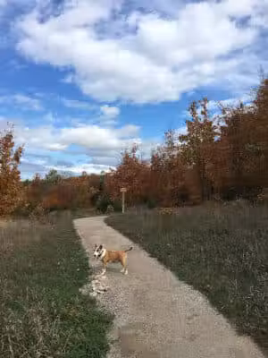 Kettles Trail - Empire,