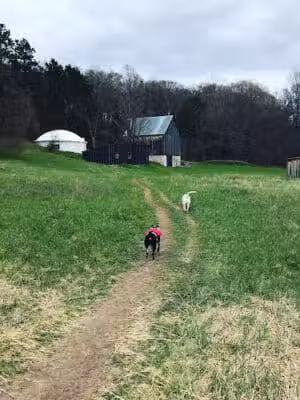 Treat Farm Trail - Empire,
