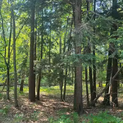 Sleeping Bear Heritage Trail - Empire,