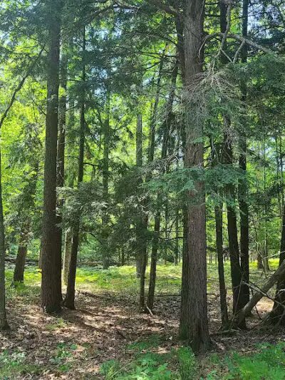 Sleeping Bear Heritage Trail - Empire,