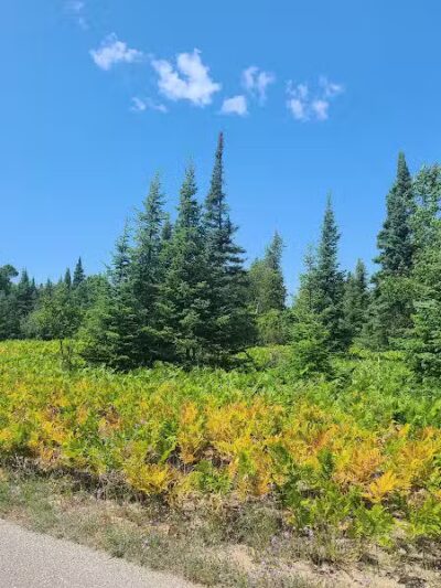 Sleeping Bear Heritage Trail - Empire,