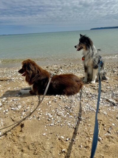 Sleeping Bear Heritage Trailhead - Empire,
