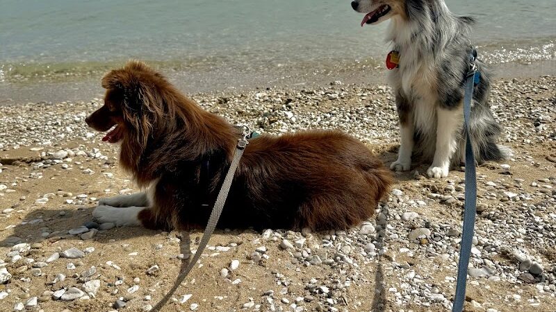 Sleeping Bear Heritage Trailhead - Empire,