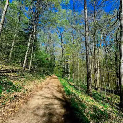 Treat Farm Trail - Empire,