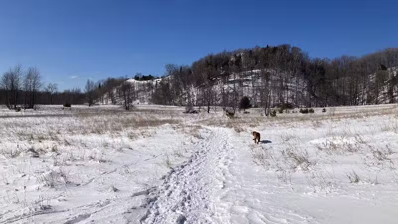 Treat Farm Trail - Empire,