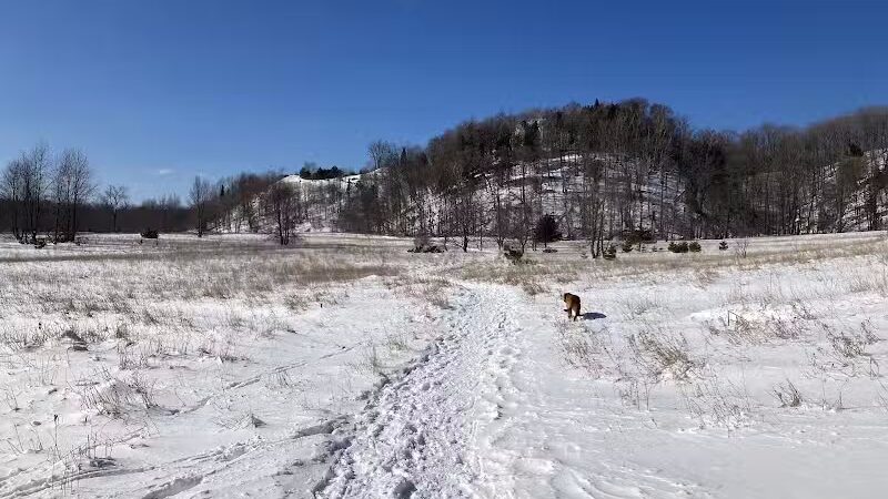Treat Farm Trail - Empire,
