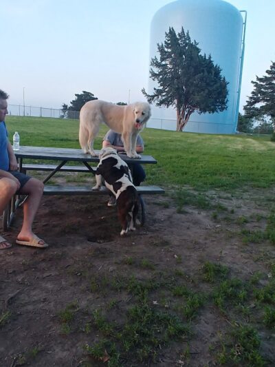 Buck Fund Dog Park - Emporia, KS