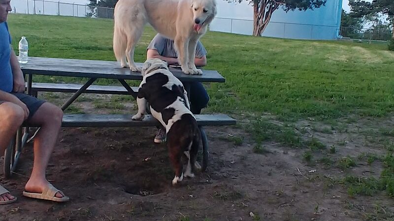 Buck Fund Dog Park - Emporia, KS