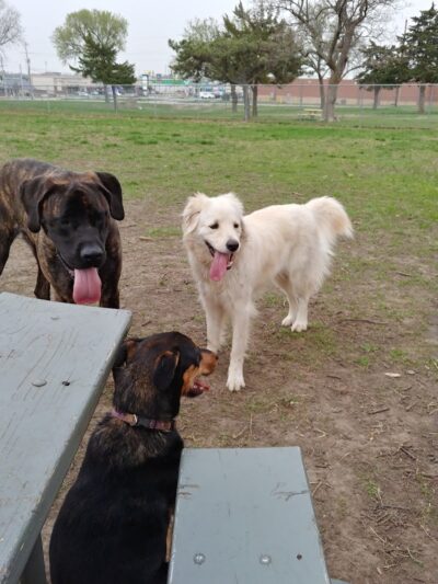 Buck Fund Dog Park - Emporia, KS