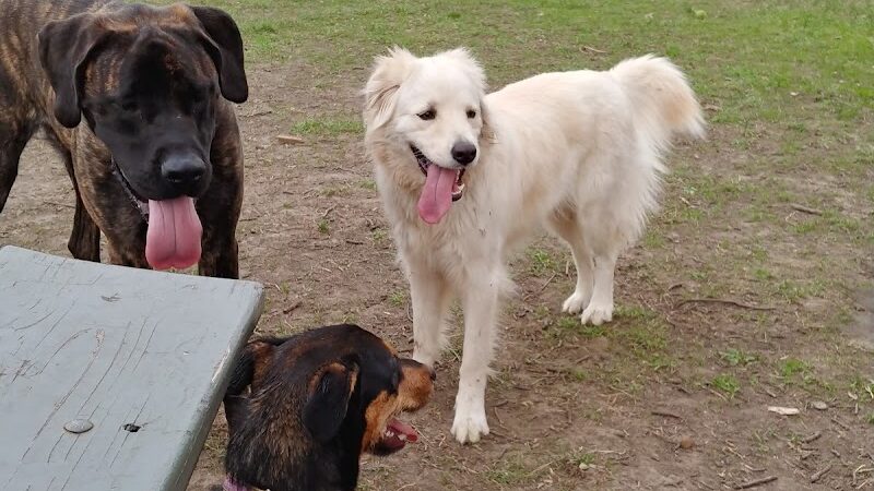 Buck Fund Dog Park - Emporia, KS