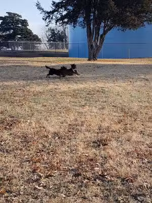 Buck Fund Dog Park - Emporia, KS