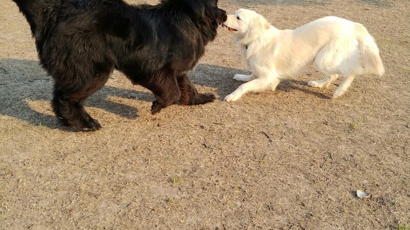 Buck Fund Dog Park - Emporia, KS