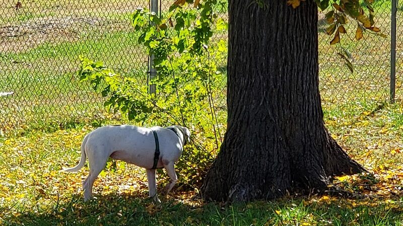 Buck Fund Dog Park - Emporia, KS