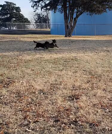Buck Fund Dog Park - Emporia, KS