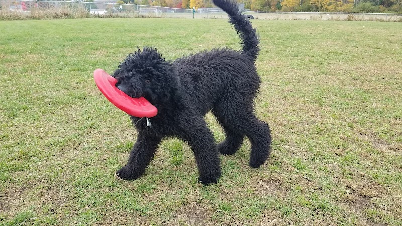 Shaker Field Dog Park - Enfield, NH