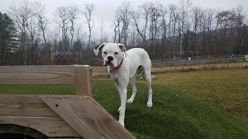 Shaker Field Dog Park - Enfield, NH