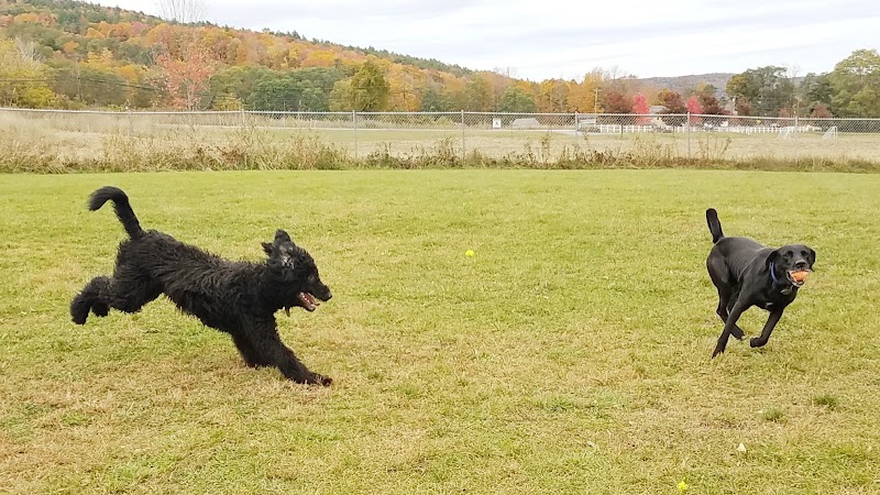 Shaker Field Dog Park - Enfield, NH