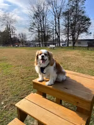 Ephrata Unleashed Dog Park - Ephrata, PA