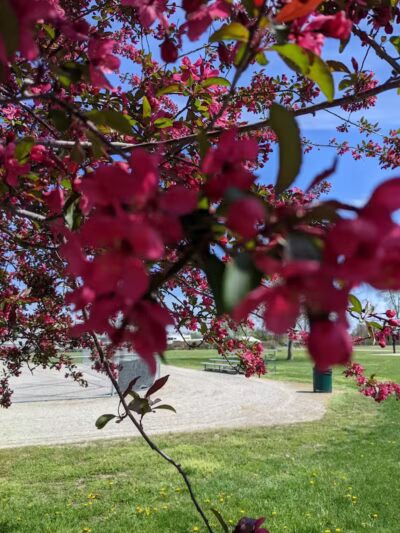 Grace Connolly Erie Park - Erie,