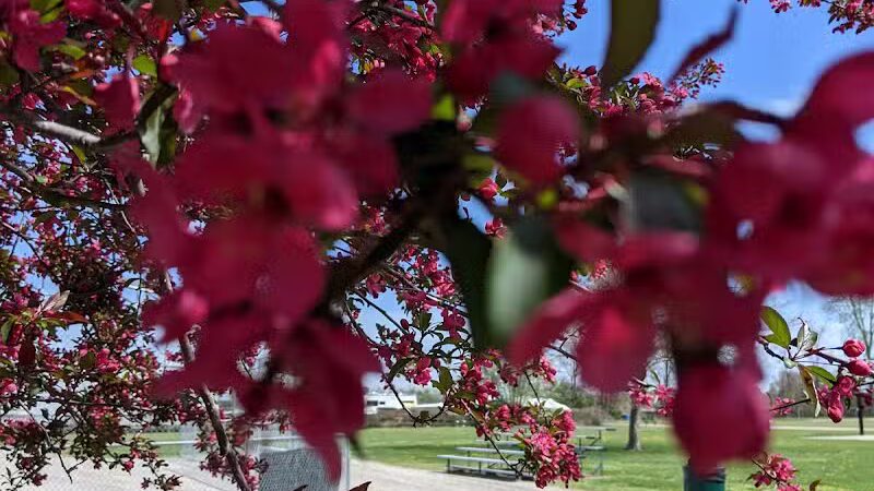 Grace Connolly Erie Park - Erie,