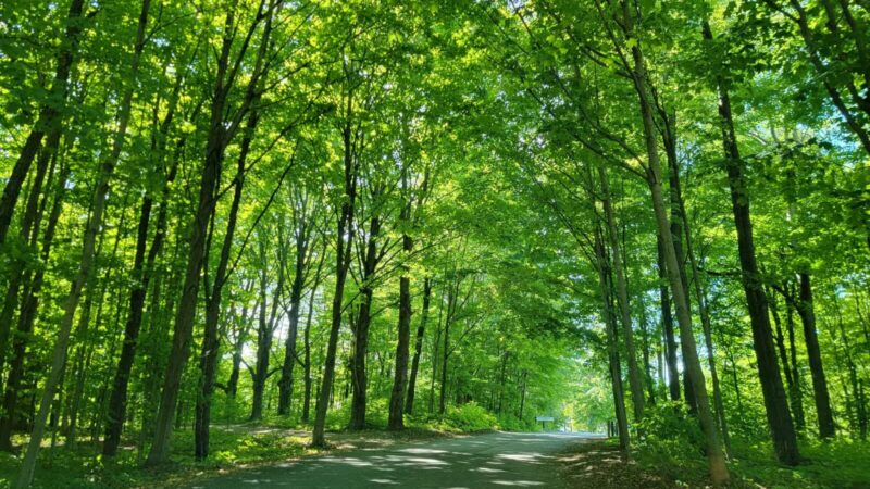 Larry R Fabrizi Dog Park - Erie, PA