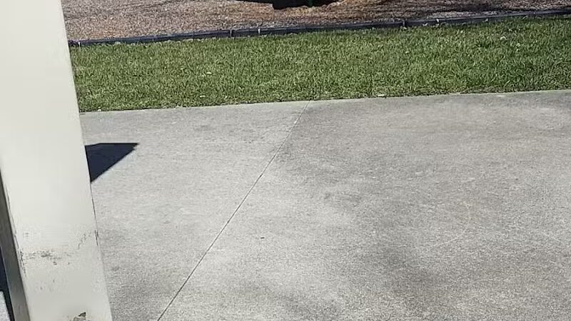 Maplewood Park - Erie,