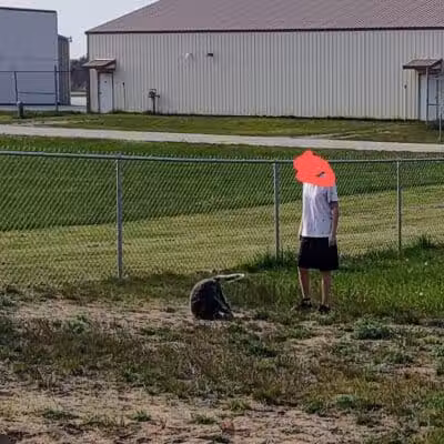 Escanaba Dog Park - Escanaba, MI