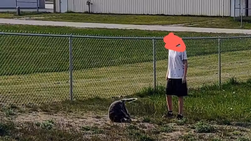 Escanaba Dog Park - Escanaba, MI