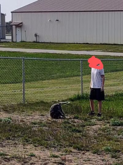 Escanaba Dog Park - Escanaba, MI